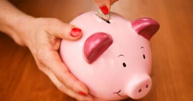 Households urged to turn £30 into £210 in time for Christmas | Personal Finance | Finance