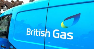 British Gas, EON, EDF and OVO customers given £388 as daily fee axed | Personal Finance | Finance