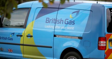 British Gas customers given £776 after daily charge axed | Personal Finance | Finance