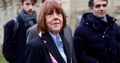 Gisèle Pelicot’s ex-husband found guilty in mass rape trial in France