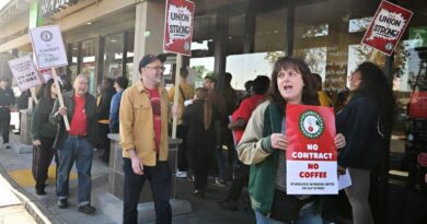 Starbucks workers begin strikes in 3 cities during crucial holiday shopping season