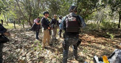 More than 30 bodies pulled from hidden graves in Mexico region plagued by drug cartel turf war