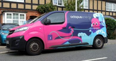 Octopus Energy giving customers free £50 off energy bills | Personal Finance | Finance