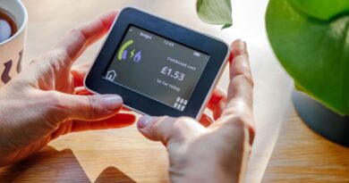 Smart meters could be used to snoop on homes, group claims | Personal Finance | Finance