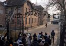 Auschwitz was liberated 80 years ago. The spotlight is on survivors as their numbers dwindle