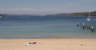 9 Sydney beaches closed after mysterious ball-shaped debris washes up ashore