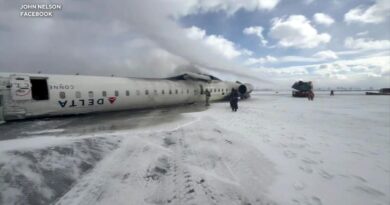 Commercial airline pilot on Toronto plane crash