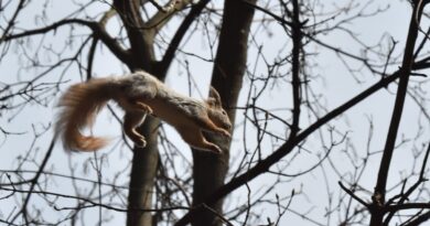 Con inocencia y curiosidad | Noticias de Madrid