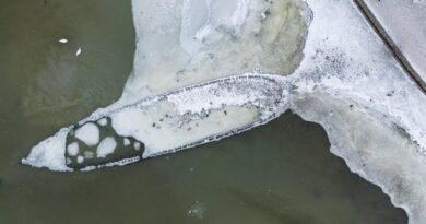 Naval shipwreck emerges in Sweden after being buried underwater for 400 years