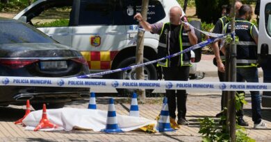 Detenido en Alemania el presunto autor del asesinato del abogado ucranio Andrei Portnov frente a un colegio de Madrid | Noticias de Madrid