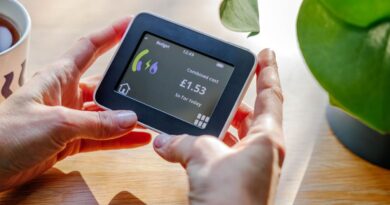 Full list of new smart meter rules as households get £40 payments from Monday | Personal Finance | Finance
