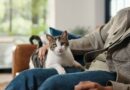 Cat owners told common action doesn’t mean your pet is happy
