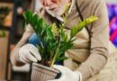 Use this exact measurement rule when repotting your house plants | Personal Finance | Finance