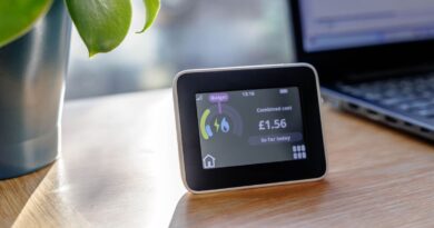 UK households with smart meters can get £40 payment from today | Personal Finance | Finance
