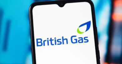 British Gas customers urged to take action before March 1 – ‘free energy’ | Personal Finance | Finance