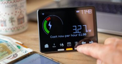 Households urged to make energy bill change for £260 boost | Personal Finance | Finance