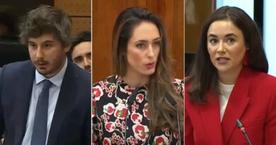 Y ‘los pocholos’, pocholeando | Noticias de Madrid