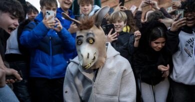 Mejor ser animal que (animal) humano: contra el odio al ‘therian’ | Noticias de Madrid