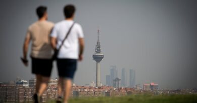 5 planes gratis en Madrid del 27 de febrero al 6 de marzo: la amplia oferta de Matadero y una mezcla de danza y teatro | Noticias de Madrid