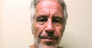 How did Jeffrey Epstein make all of his money?
