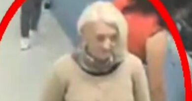 Previously convicted stowaway sneaks onto flight to Europe again