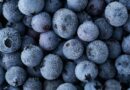 Oregon company recalls frozen blueberries over possible Listeria contamination