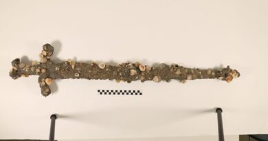 12th century Crusader sword discovered “by chance” by student off coast of Israel, university says
