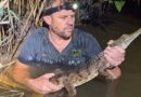 Crocodile found by boy lurking in a creek near family’s home, 1,200 miles from its tropical habitat