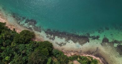 Sea levels much higher than previously thought due to “methodological blind spot,” study finds