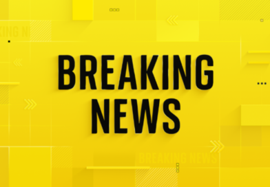 Woman armed with AR-15 rifle fires gunshots into Rihanna’s California home | US News