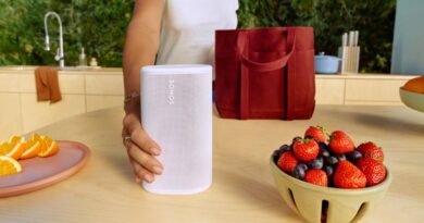 Portable Sonos Play speaker leaks on Canadian Best Buy Portable Sonos Play speaker leaks on Canadian Best Buy