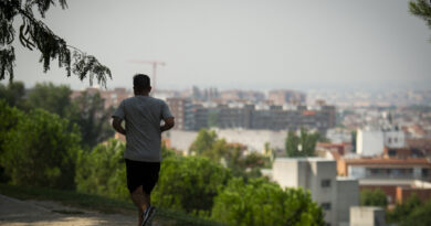 5 planes gratis en Madrid del 27 de febrero al 6 de marzo: la amplia oferta de Matadero y una mezcla de danza y teatro | Noticias de Madrid