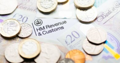Key HMRC ISA update with deadline ‘in weeks’ before limit slashed | Personal Finance | Finance