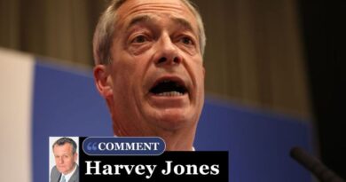 Meet the most dangerous woman in Britain – if your name’s Nigel Farage | Personal Finance | Finance