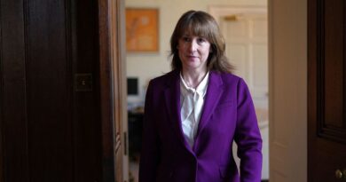 Rachel Reeves makes huge announcement as inflation set to rise | Politics | News
