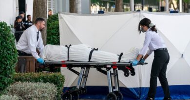 Una venganza de bandas juveniles que tuvo ensayo general y un conductor ‘contratado’ para el crimen | Noticias de Madrid