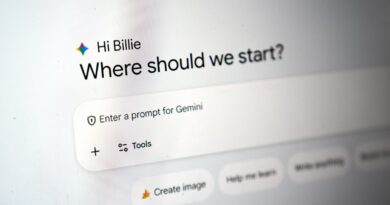 Google faces first lawsuit alleging its AI chatbot encouraged a Florida man to commit suicide