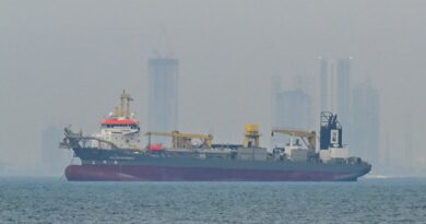 What to know about the agency Trump says will insure ships in the Persian Gulf